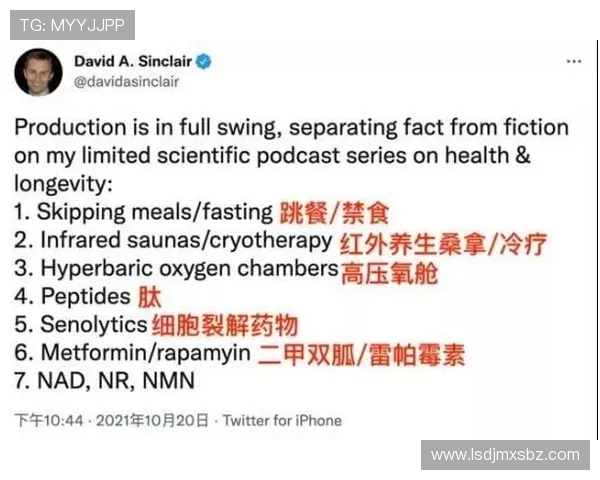 戴格诺特解析阿杰伊在高压环境下的成长与突破